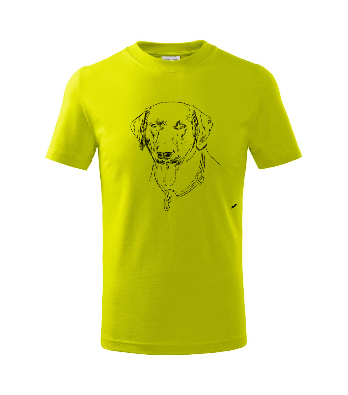 Labradorský retriever - limetková