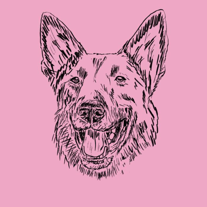 Německý ovčák - růžová