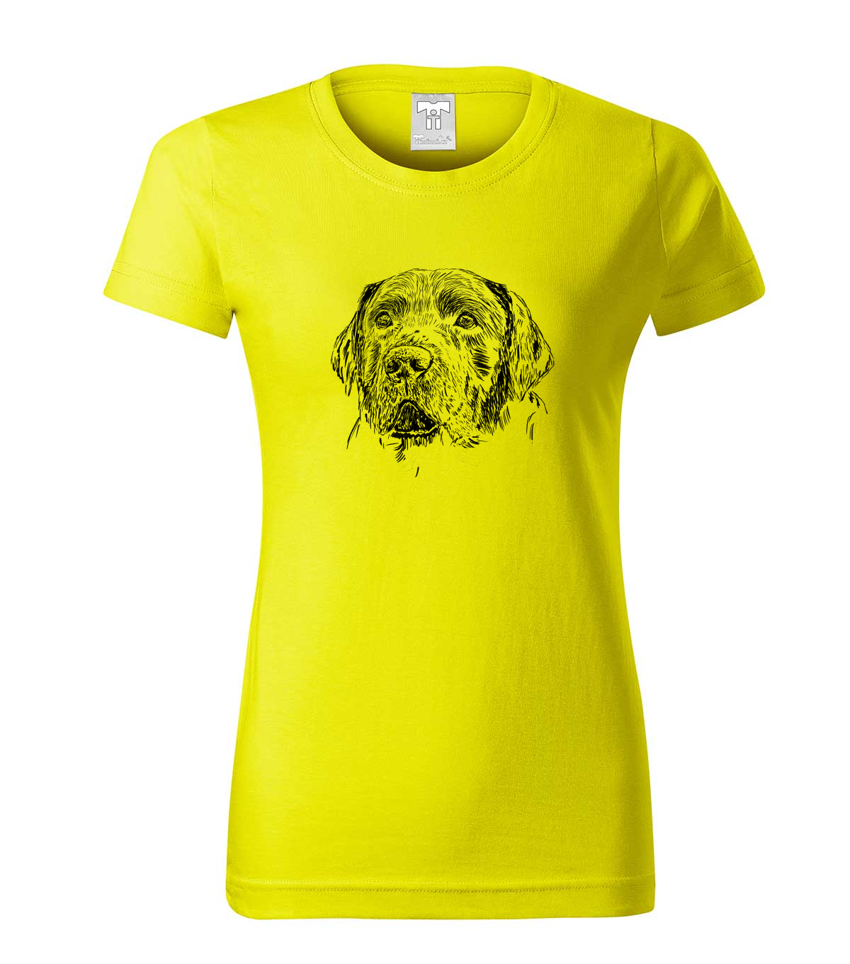 Labradorský retriever - citonová