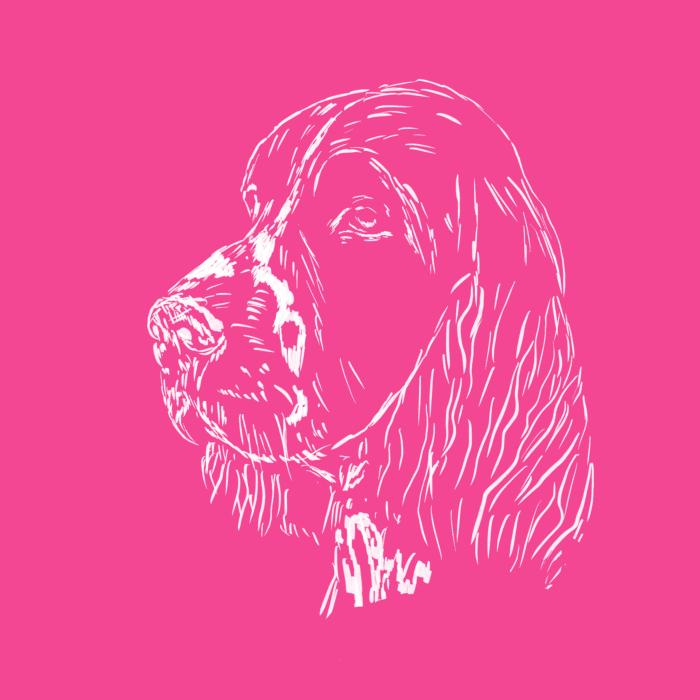 Springer Spaniel - purpurová