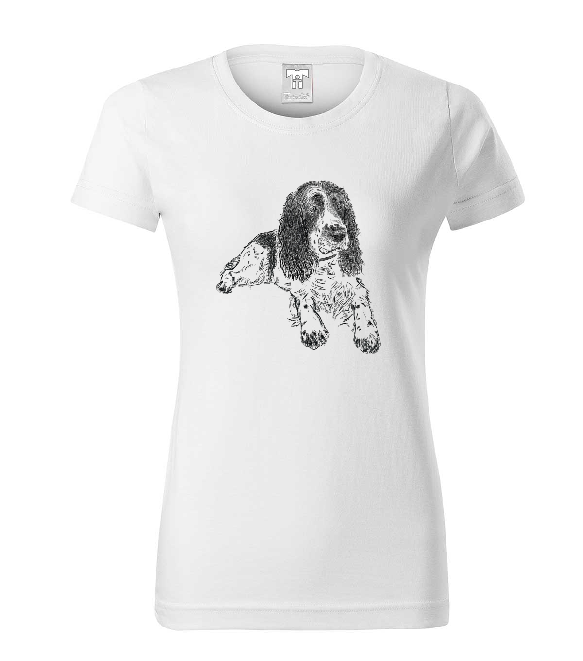 Springer Spaniel 