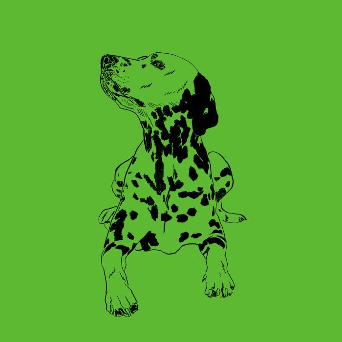 Dalmatin - apple green