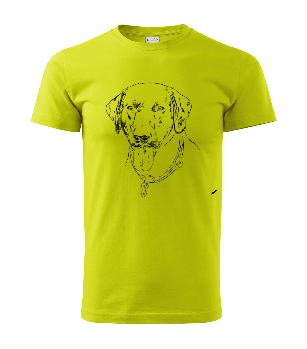 Labradorský retriever - limetková