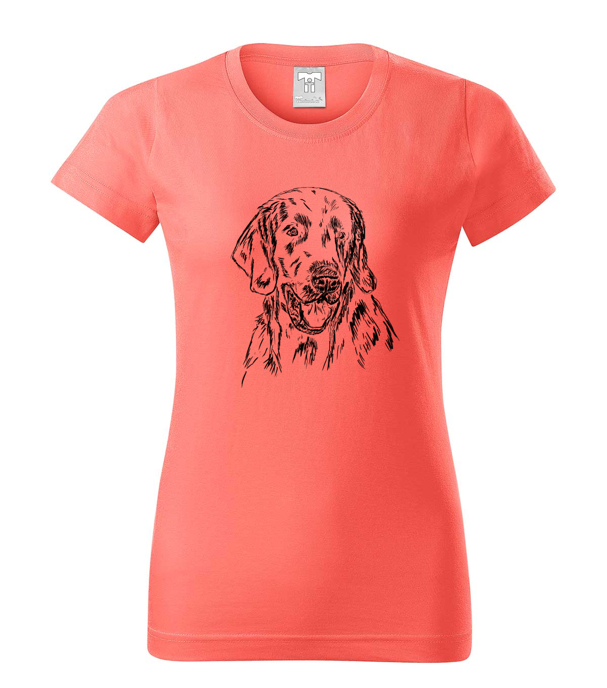 Flat coated retriever - korálová