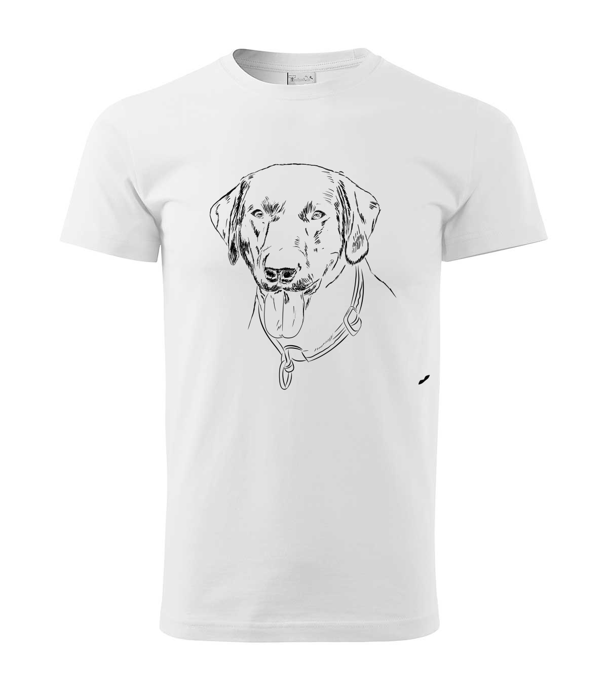 Labradorský retriever - bílá