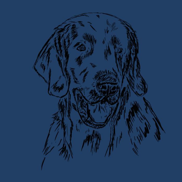 Flat coated retriever - půlnoční modrá