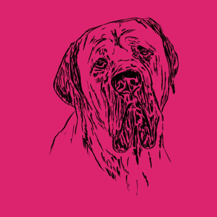Cane corso - malinová