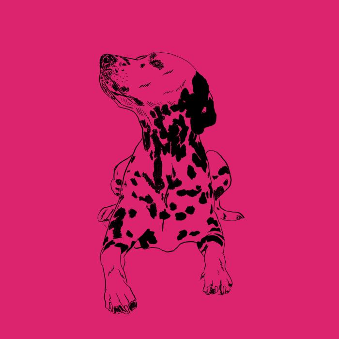 Dalmatin - malinová