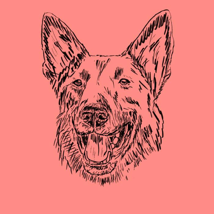 Německý ovčák - korálová