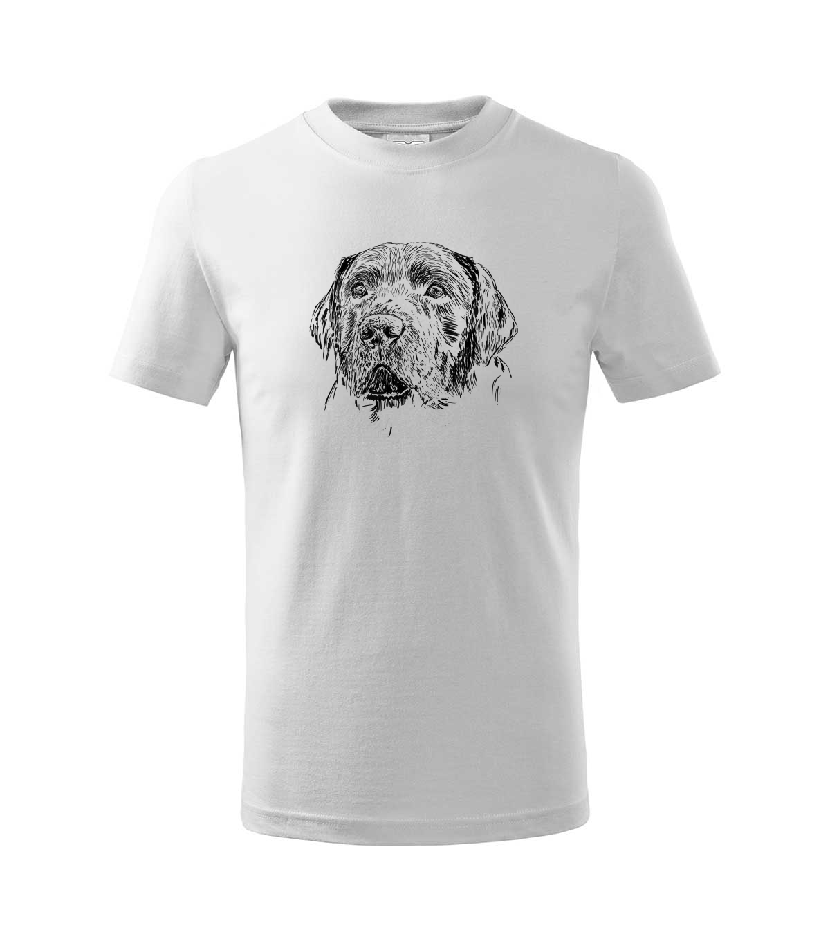 Labradorský retriever - bílá
