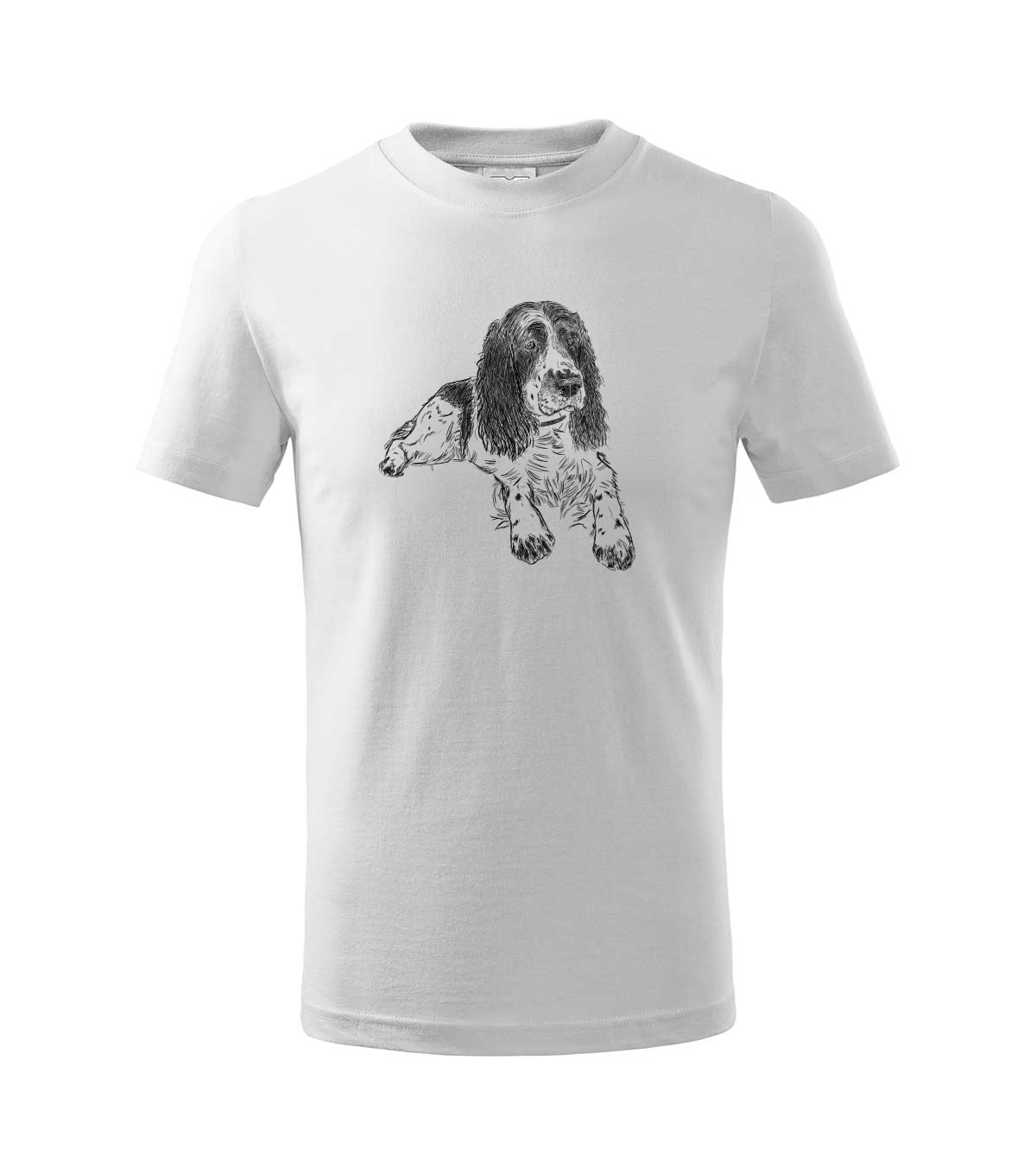Springer Spaniel - bílá