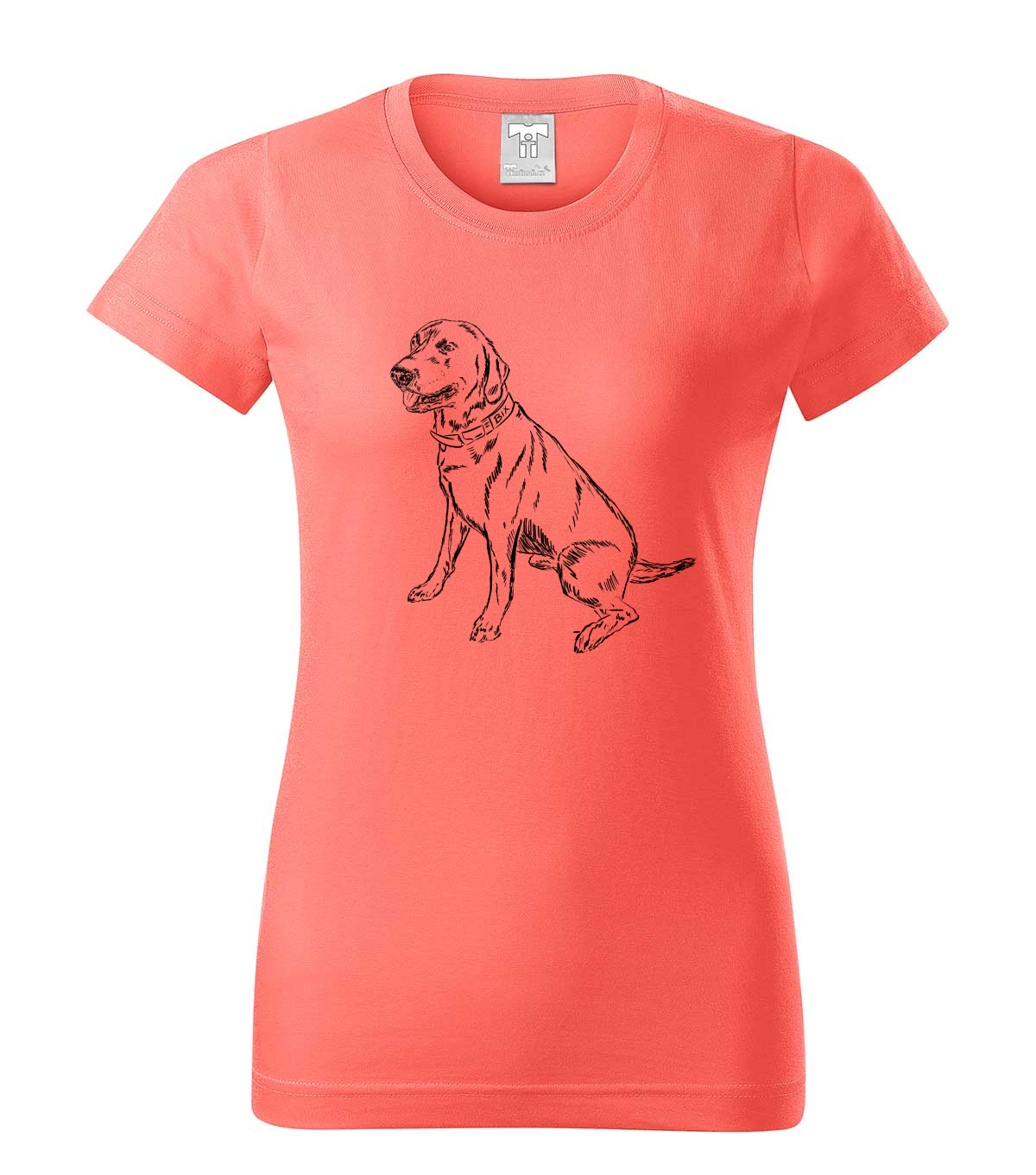 Labradorský retriever - korálová