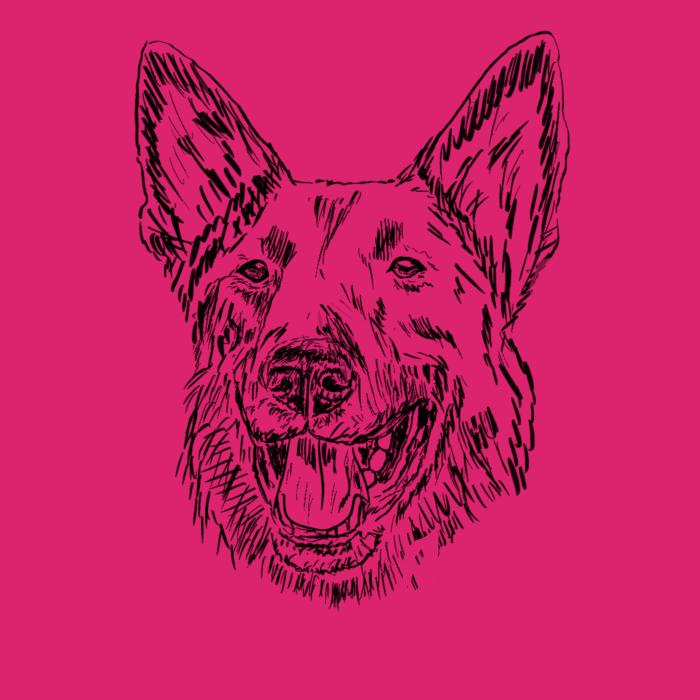 Německý ovčák - malinová