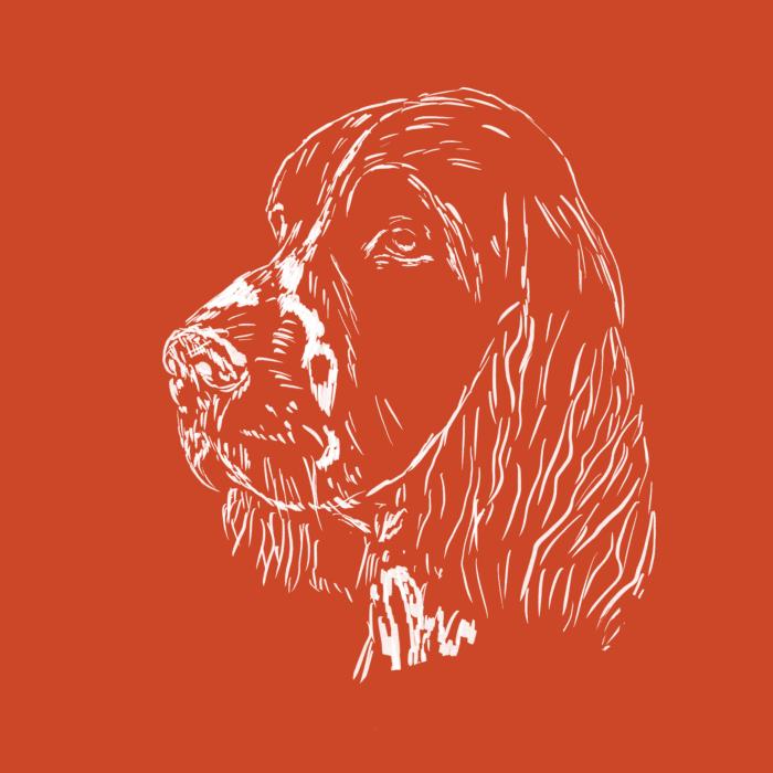 Springer Spaniel - oranžová