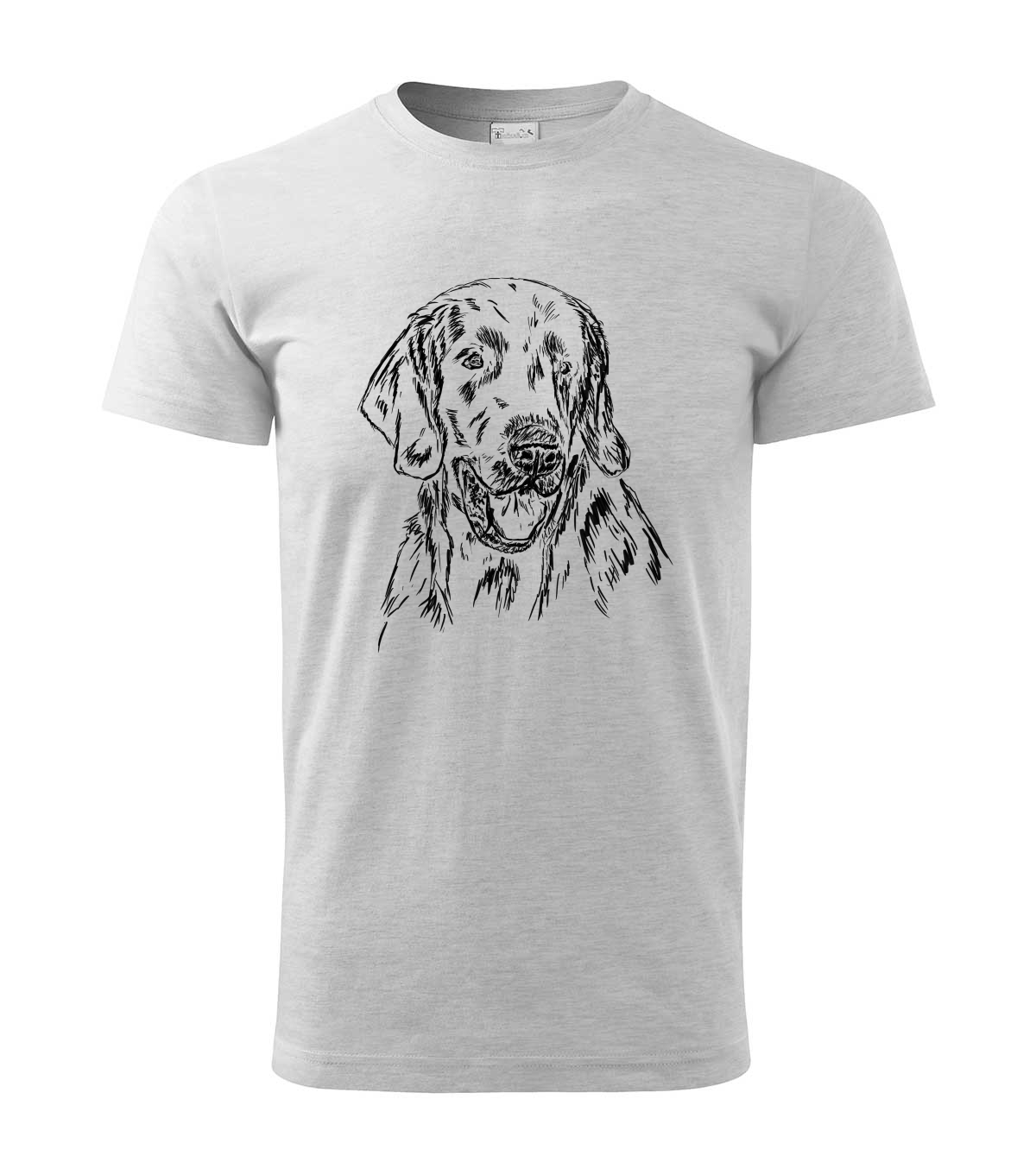 Flat coated retriever