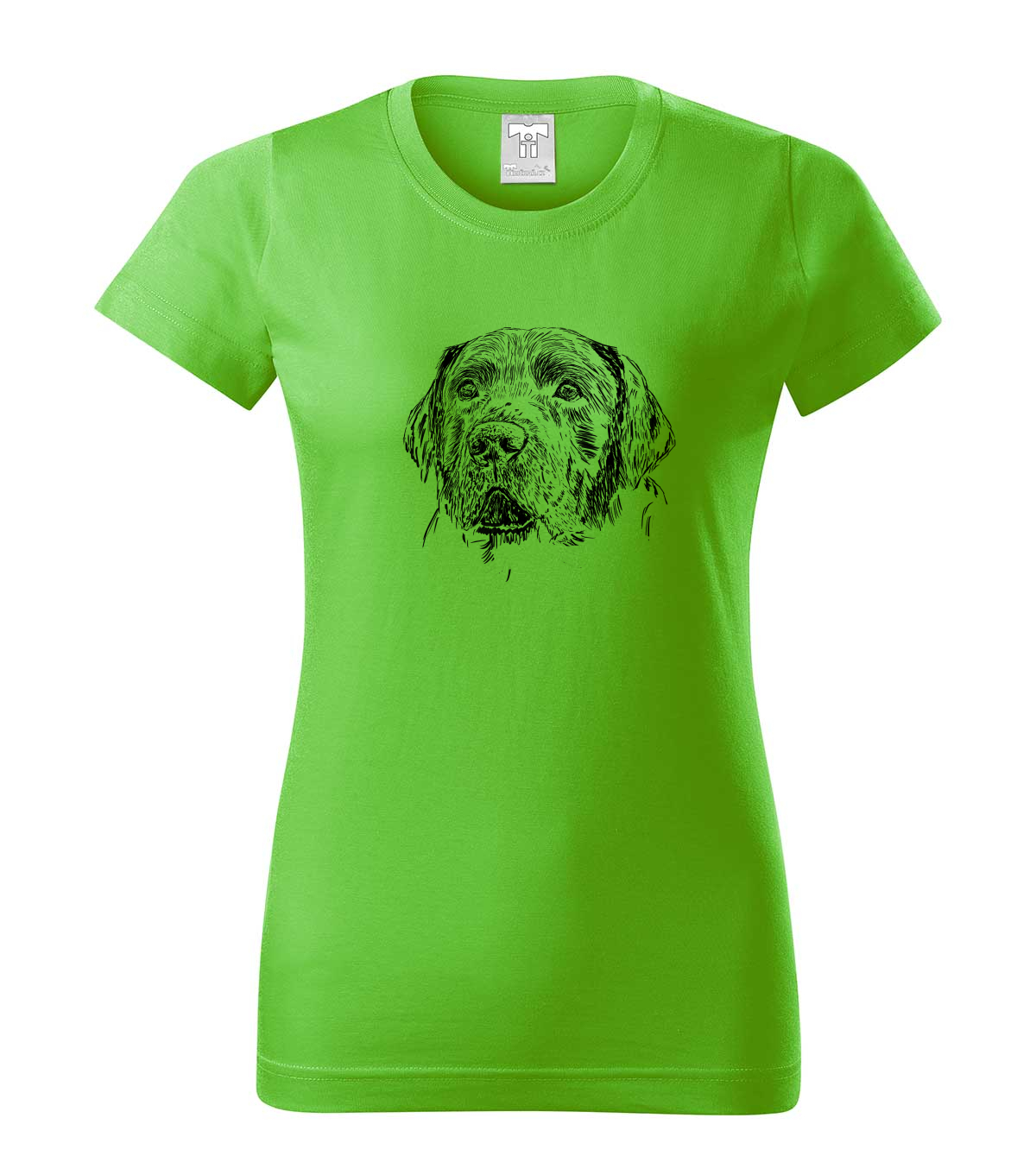 Labradorský retriever - apple green