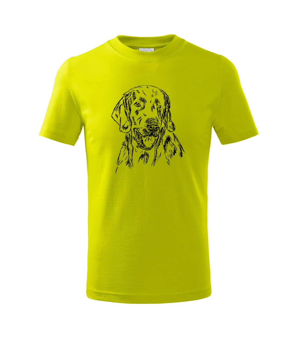 Flat coated retriever - limetková