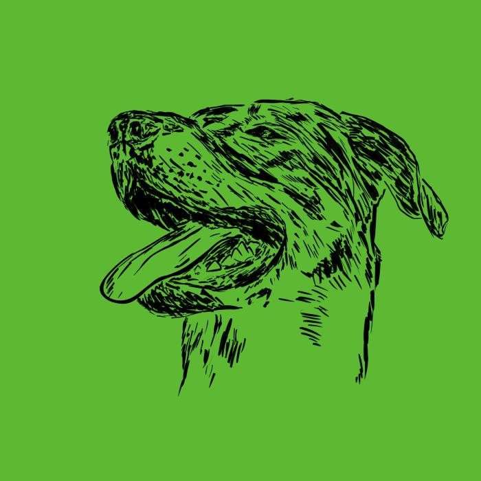 Bauceron - apple green