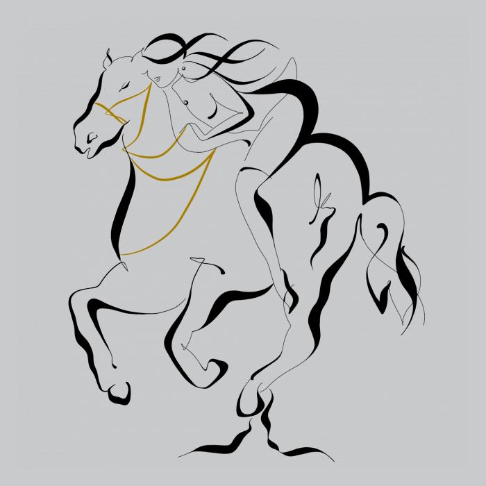 Žena na koni - světle šedý melír