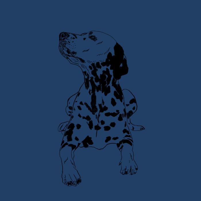 Dalmatin - půlnoční modrá
