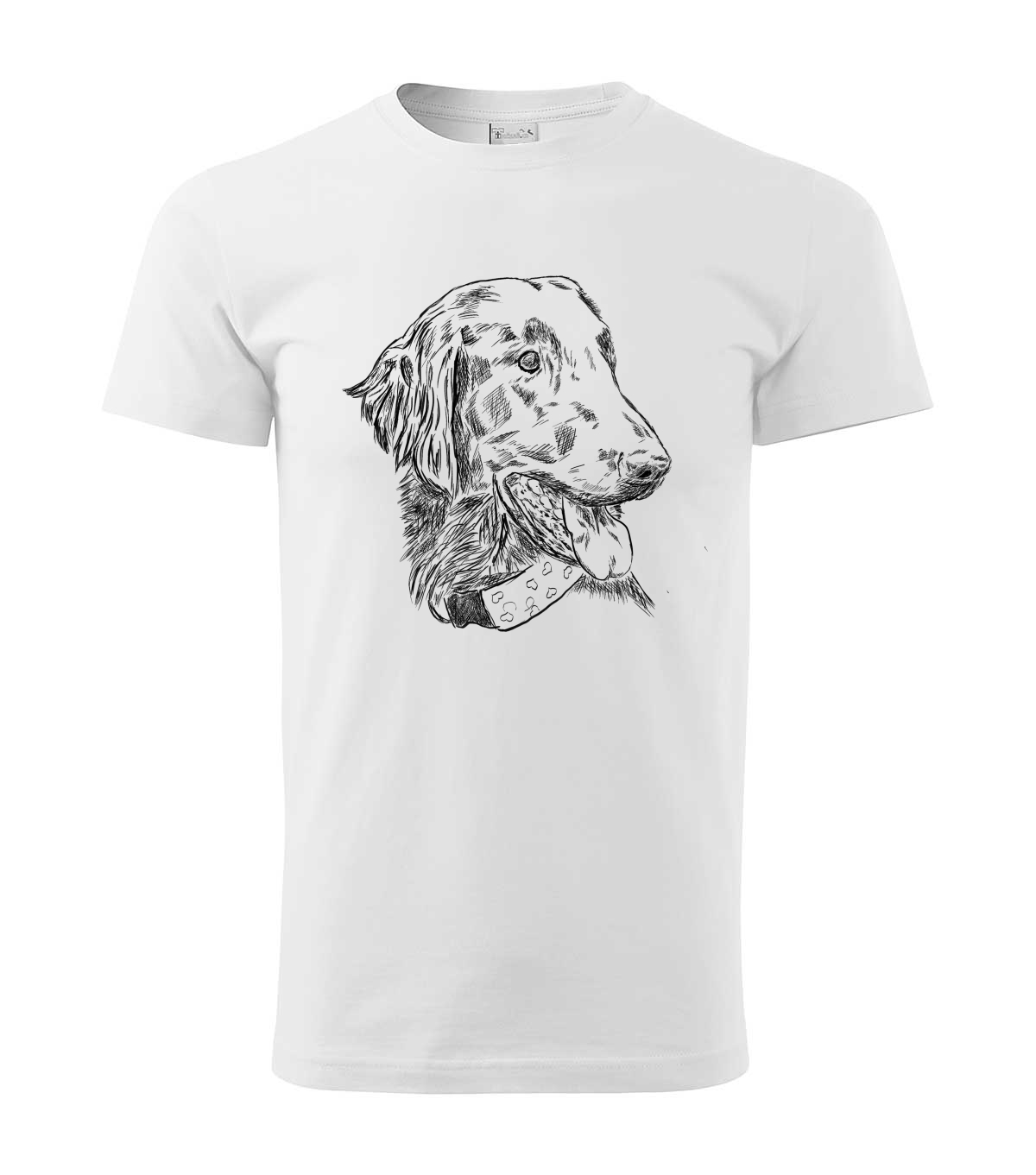 Flat coated retriever - bílá