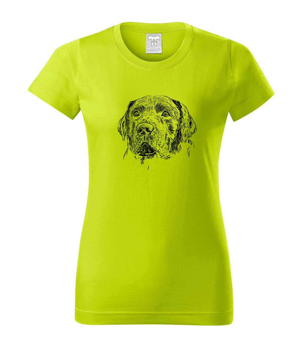 Labradorský retriever - limetková