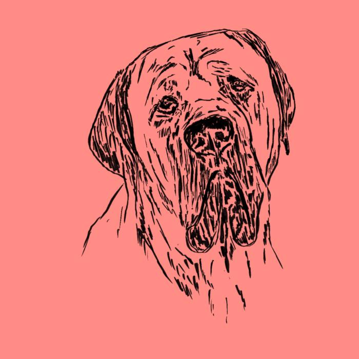 Cane corso - korálová