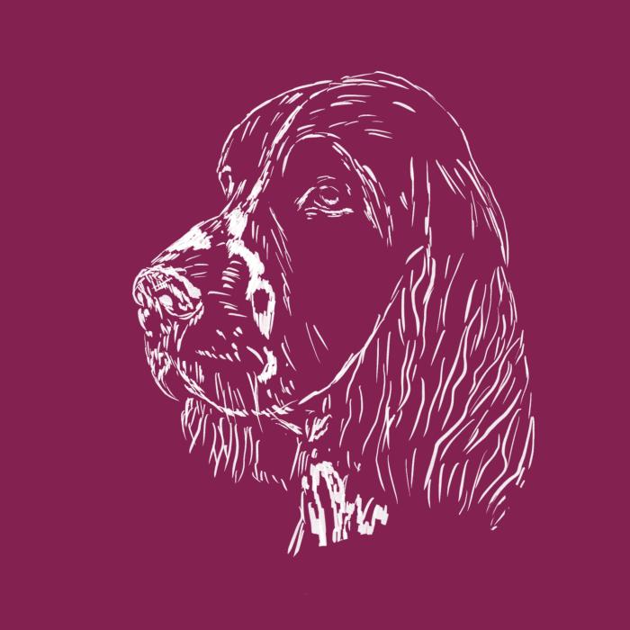Springer Spaniel - fuchsiová