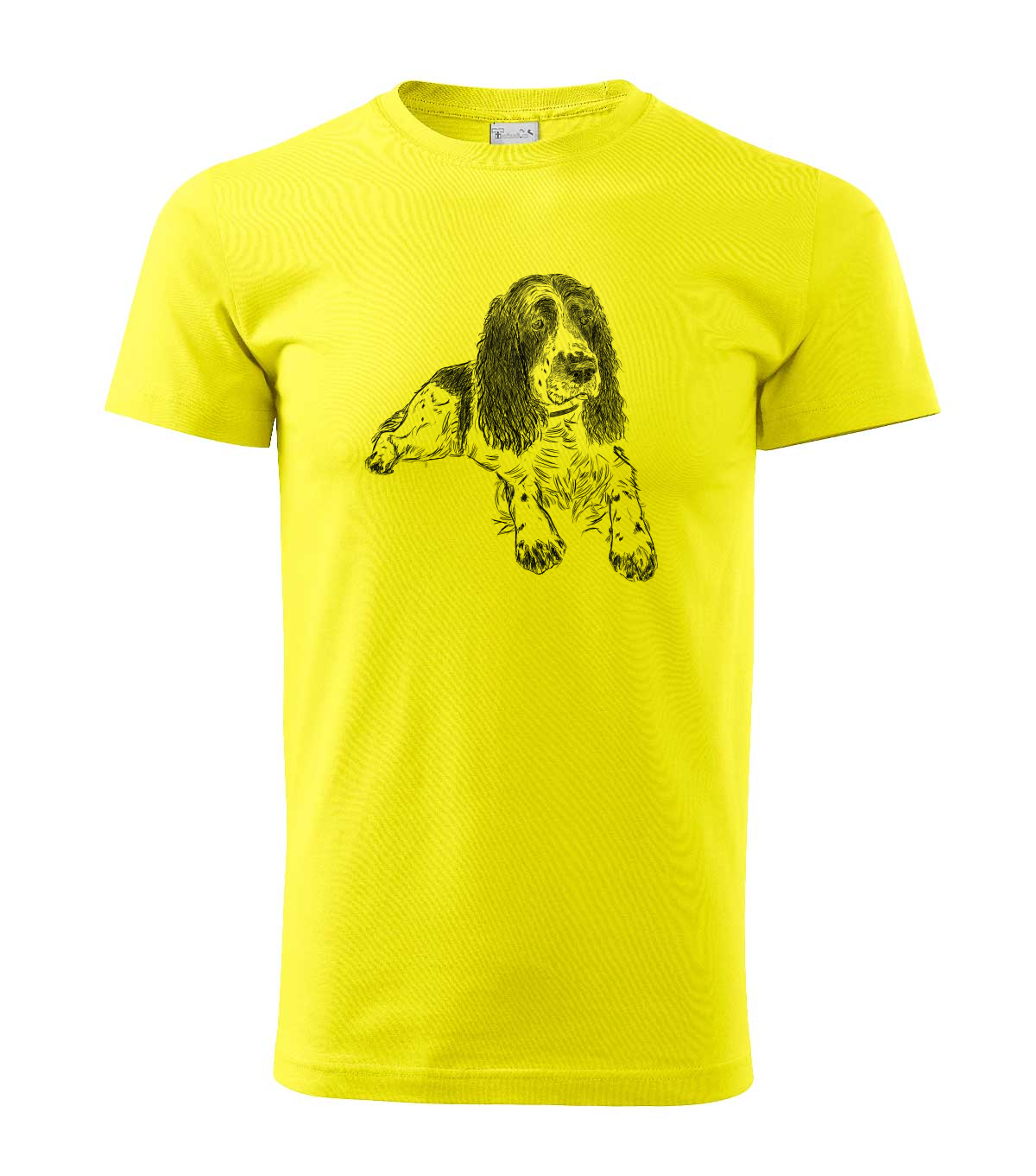 Springer Spaniel