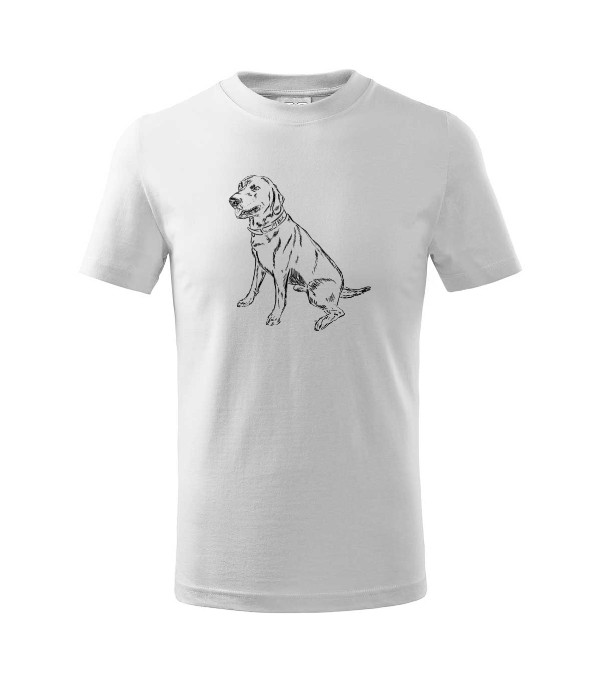 Labradorský retriever - bílá