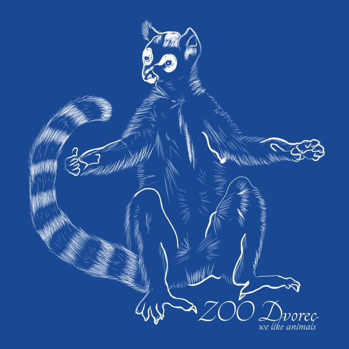 Lemur ZOO Dvorec - královsky modrá