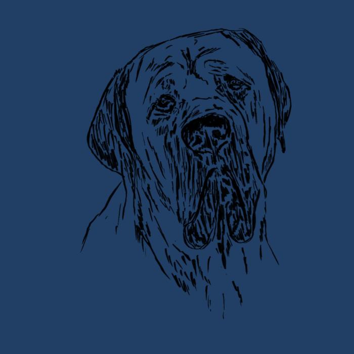 Cane corso - půlnoční modrá