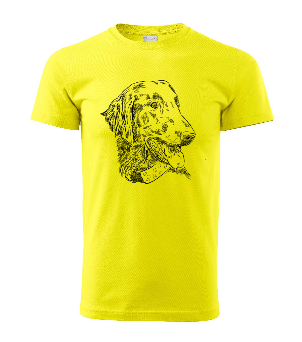 Flat coated retriever - citonová