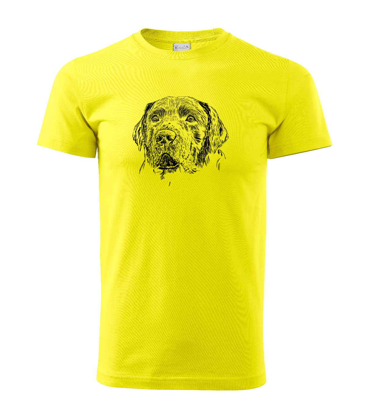 Labradorský retriever - citonová