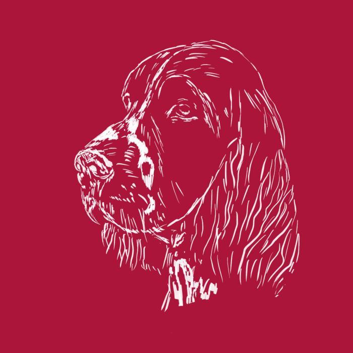 Springer Spaniel - marlboro červená