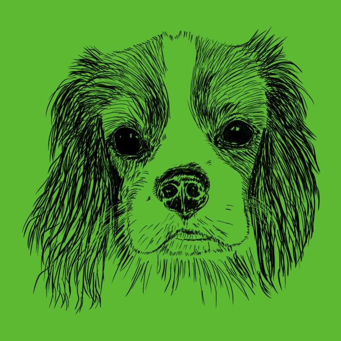 Cavalier - apple green