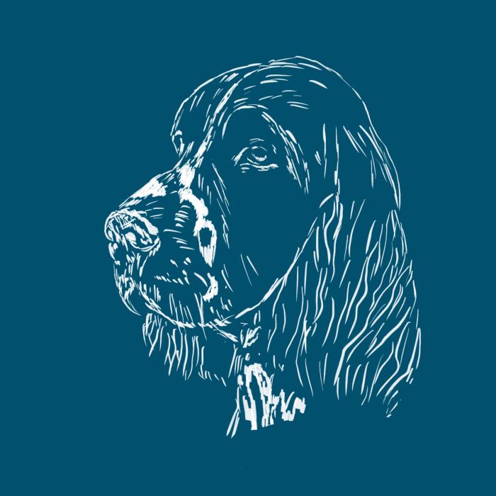 Springer Spaniel - petrolejová