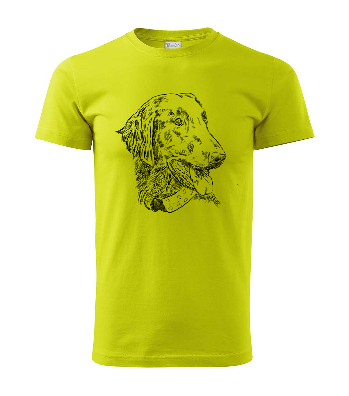 Flat coated retriever