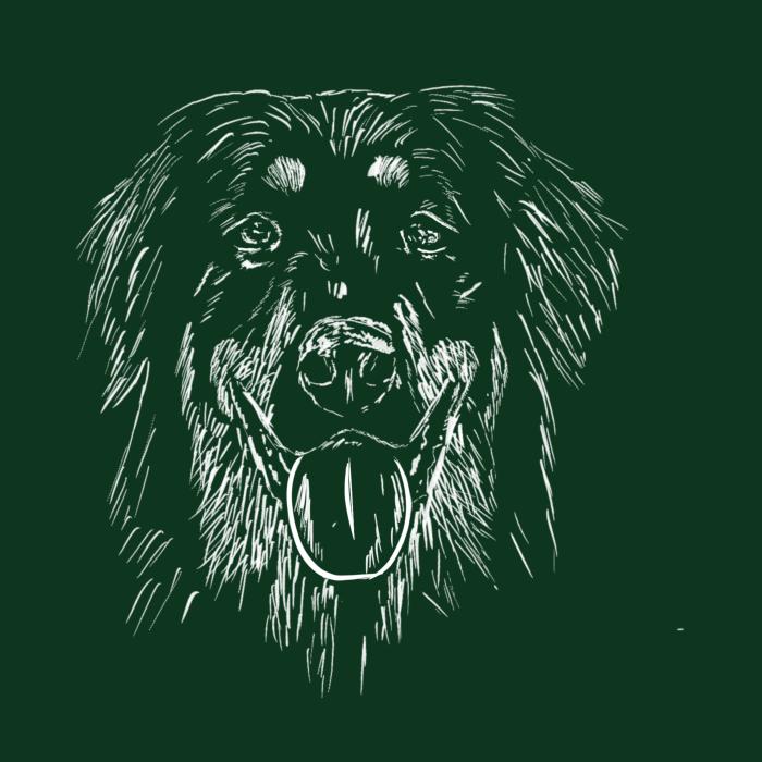 Hovawart - lahvově zelená