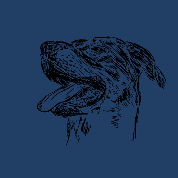 Bauceron - půlnoční modrá