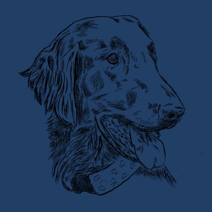 Flat coated retriever - půlnoční modrá