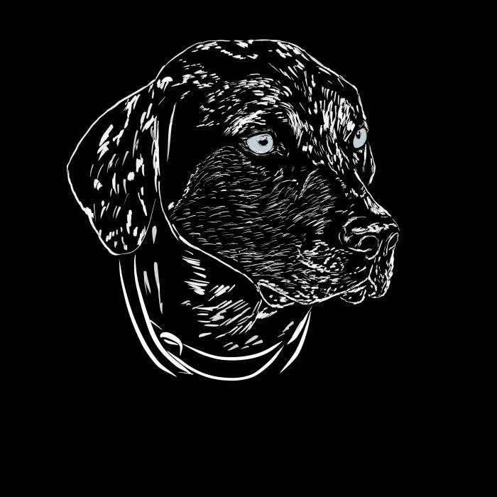 Leopardí pes - černá