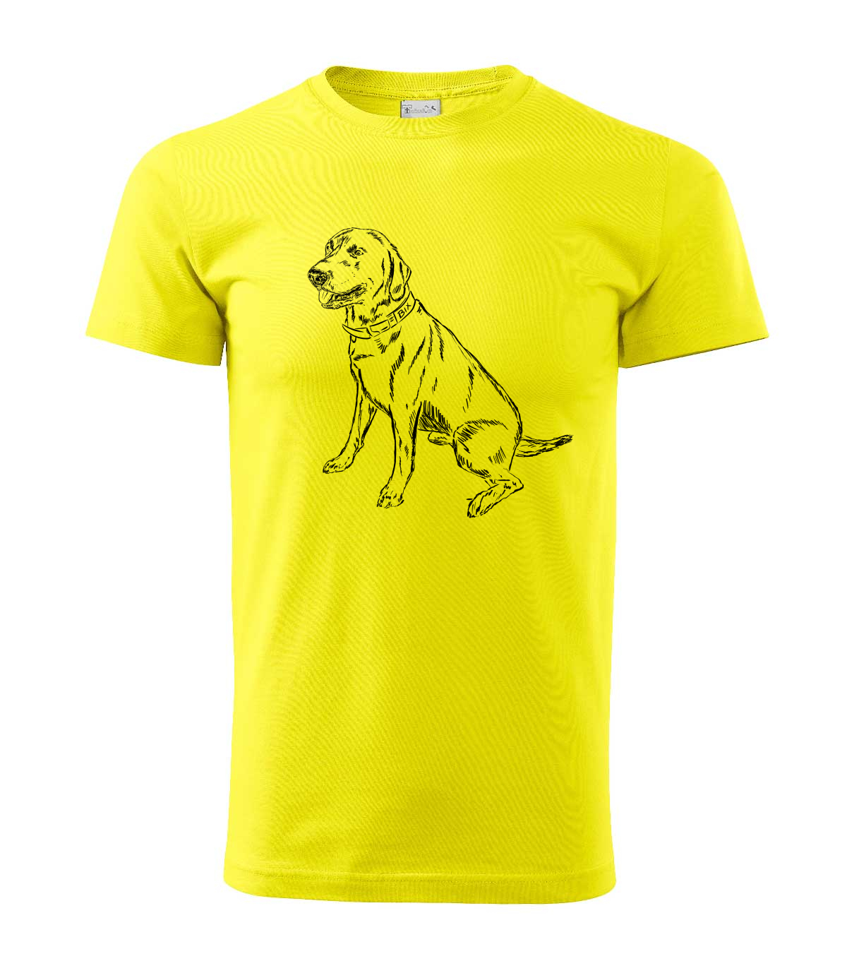 Labradorský retriever