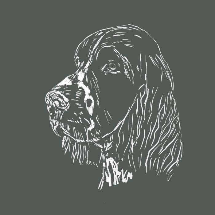 Springer Spaniel - tmavá břidlice