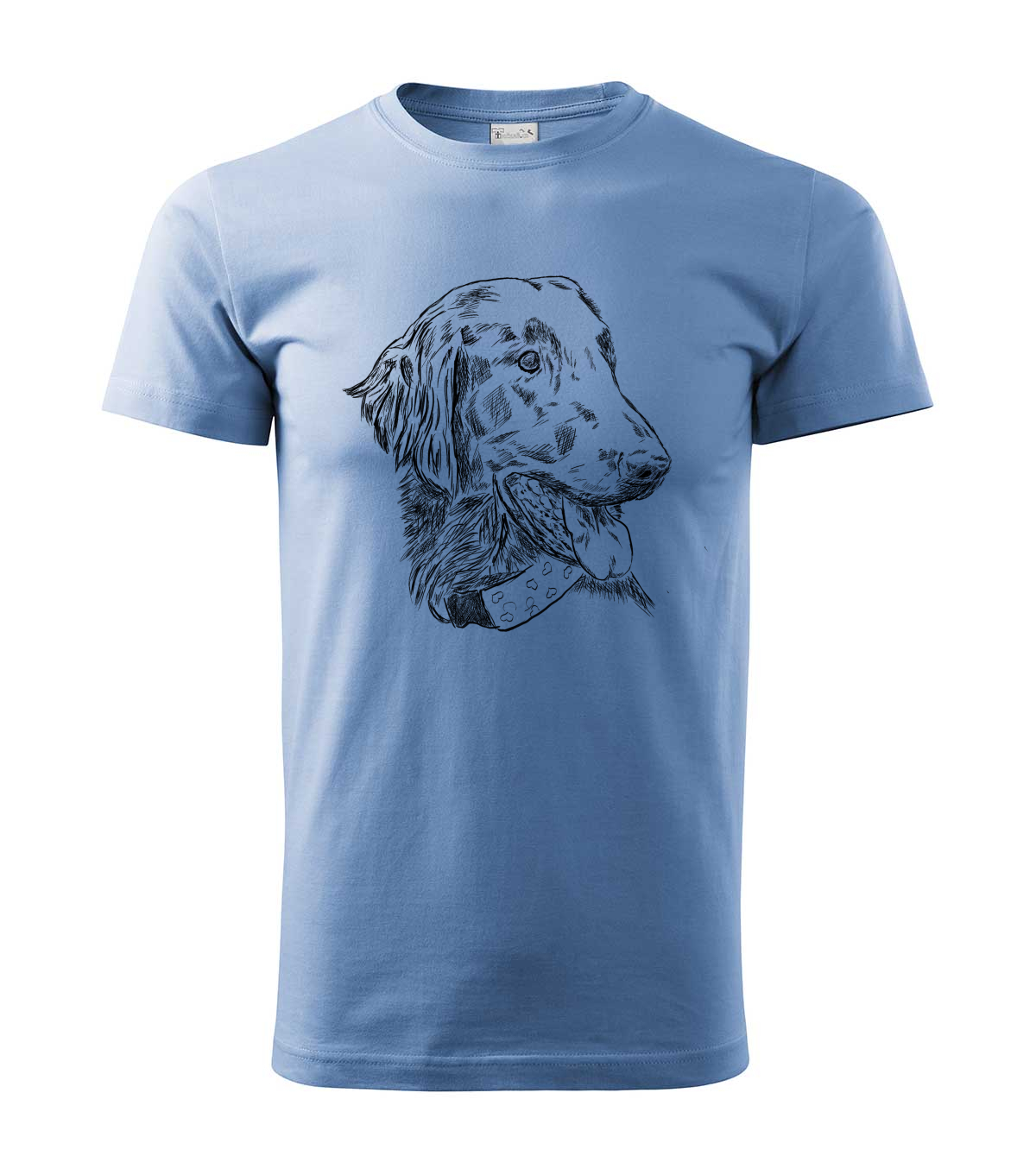 Flat coated retriever