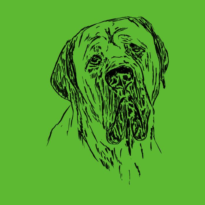 Cane corso - apple green