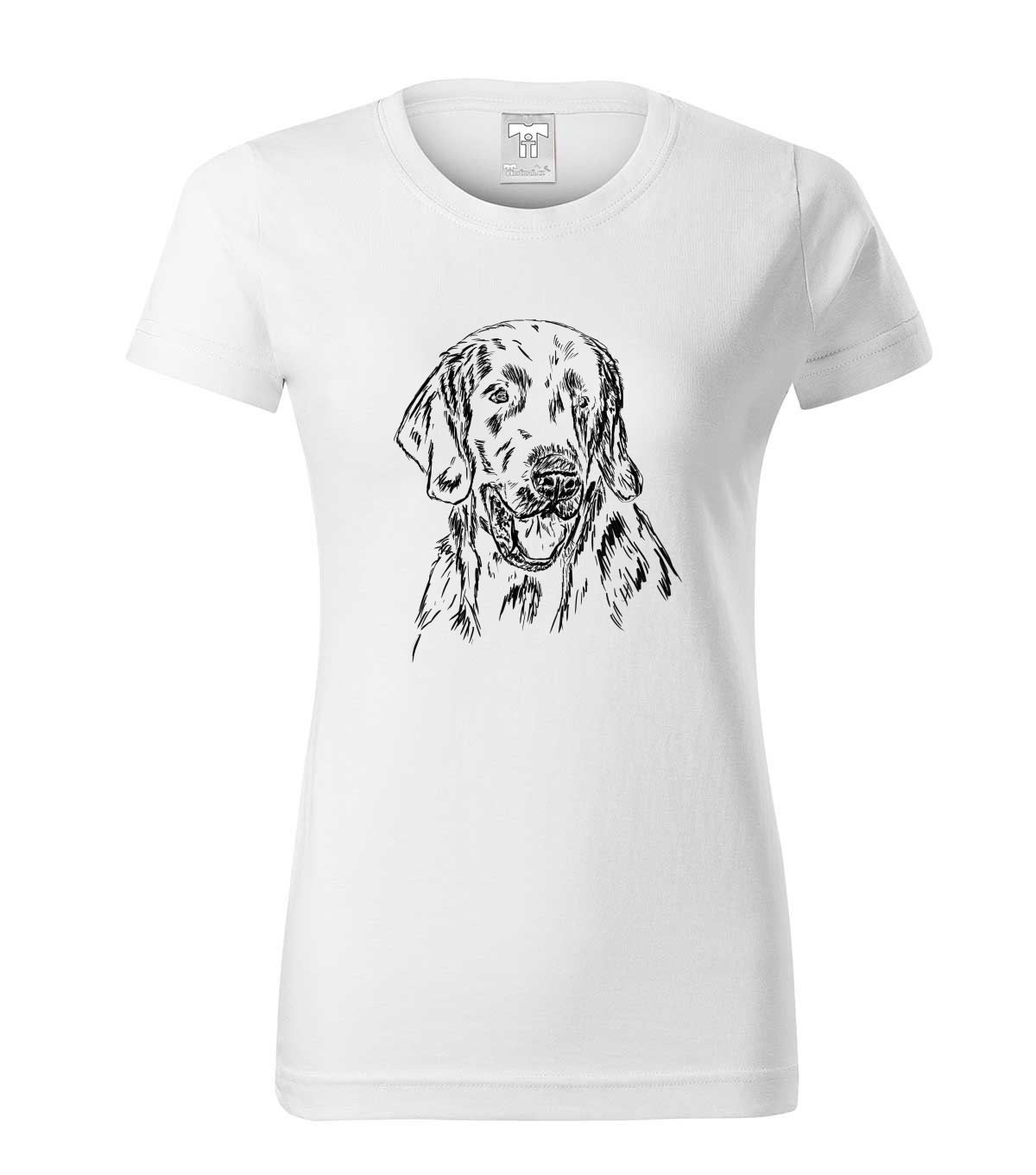 Flat coated retriever - bílá