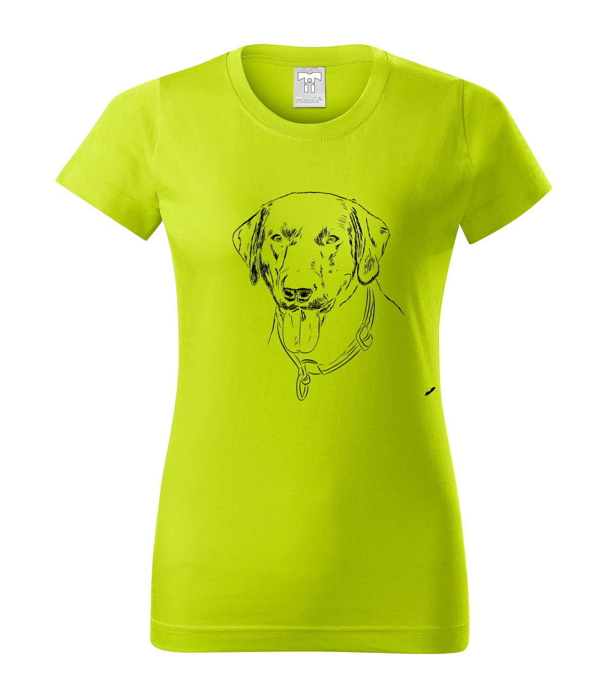 Labradorský retriever - limetková