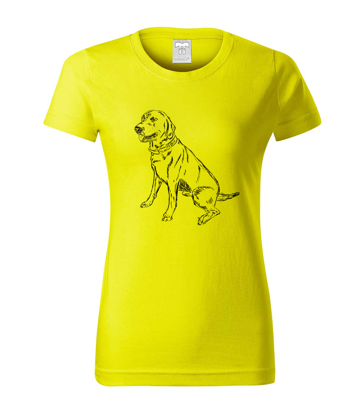 Labradorský retriever - citonová