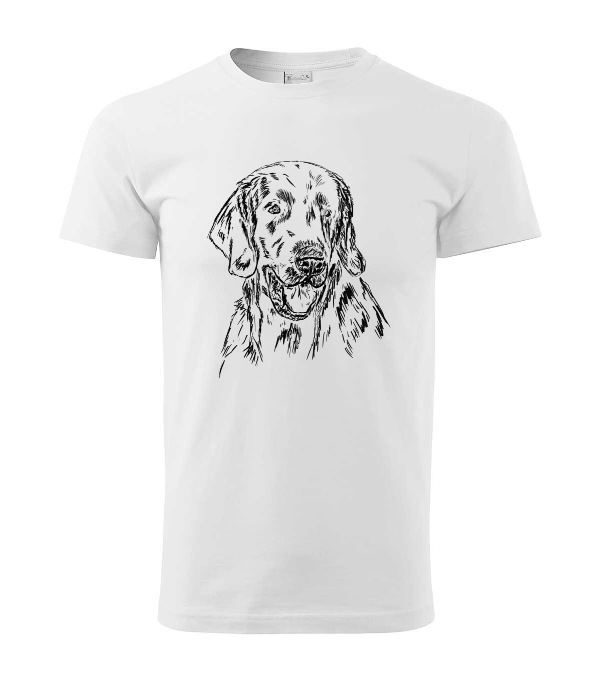 Flat coated retriever - bílá